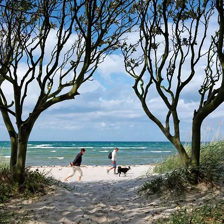 Daenisches * Kaltenhof